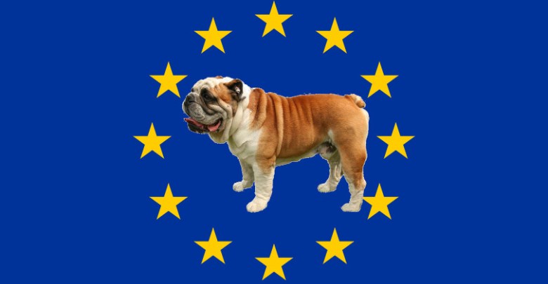 Flag_of_Europe-bouledogue